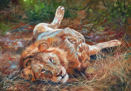 Lion On Back by David Stribbling art print