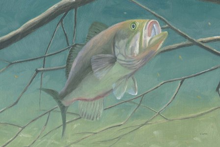 Fresh Catch II by James Wiens art print