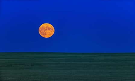 Full Moonrise, Alberta, Canada by Alan Dyer/Stocktrek Images art print