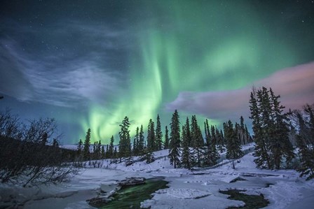 Northern Lights Above Fish Lake by Jonathan Tucker/Stocktrek Images art print