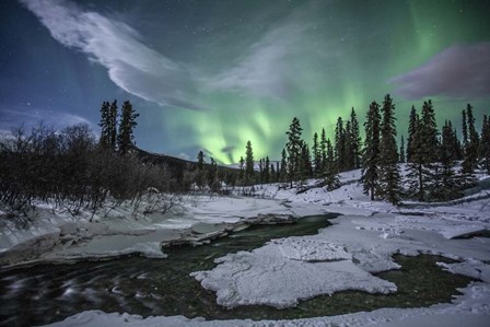 Northern Lights Above Fish Lake, Whitehorse, Yukon, Canada by Jonathan Tucker/Stocktrek Images art print