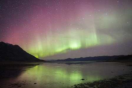 Northern Lights Over Kluane Lake, Yukon, Canada by Jonathan Tucker/Stocktrek Images art print