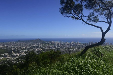 View from Tantalus Lookout Overlooking Honolulu, Oahu, Hawaii by Ryan Rossotto/Stocktrek Images art print