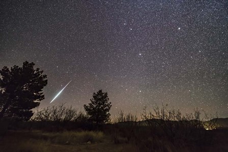 A Single Bright Meteor From the Geminid Meteor Shower of December 2017 by Alan Dyer/Stocktrek Images art print