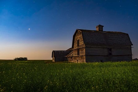 Planet Mars Shining Over An Old Barn Amid a Field of Canola by Alan Dyer/Stocktrek Images art print