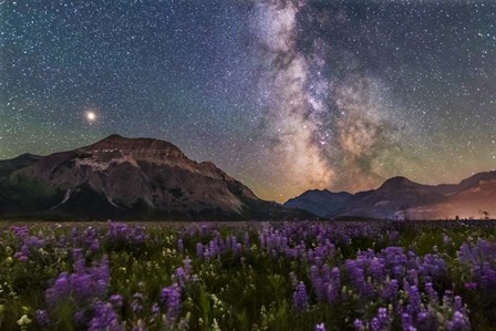 The Summer Milky Way and Mars Over Waterton Valley and Vimy Peak by Alan Dyer/Stocktrek Images art print