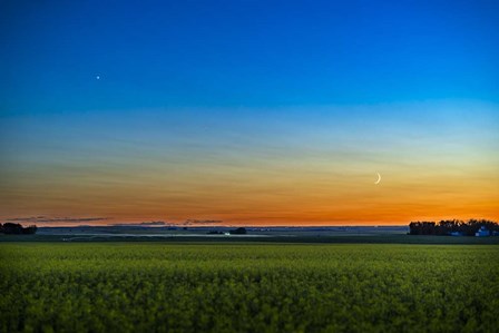 The Waxing Crescent Moon Below Venus Over a Ripening Canola Field by Alan Dyer/Stocktrek Images art print