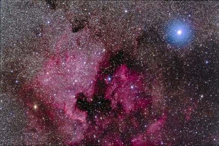 The North America Nebula Near Teh Bright Blue-White Star Deneb by Alan Dyer/Stocktrek Images art print