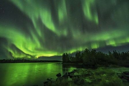 A Bright Sky-Filling Aurora at Tibbitt Lake East of Yellowknife by Alan Dyer/Stocktrek Images art print