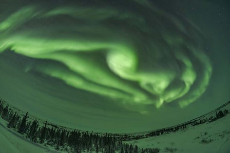 Auroral Arcs, Loops and Swirls, Manitoba by Alan Dyer/Stocktrek Images art print
