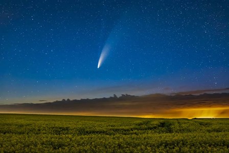 Comet NEOWISE Over a Ripening Canola Field in Southern Alberta by Alan Dyer/Stocktrek Images art print