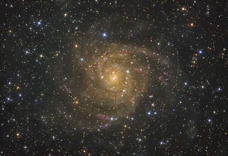 Intermediate Spiral Galaxy IC 342 by Lorand Fenyes/Stocktrek Images art print