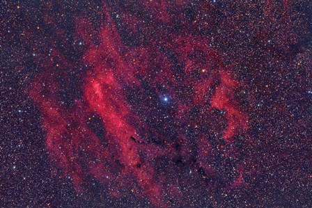 Emission Nebula Sh2-199 by Reinhold Wittich/Stocktrek Images art print