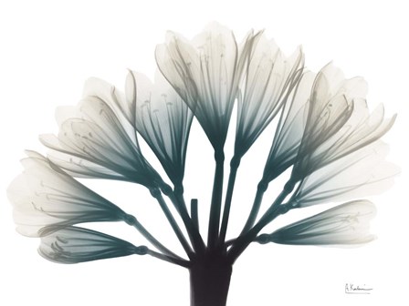 Lily Of The Jungle by Albert Koetsier art print