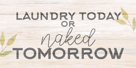 Laundry or Naked by Kimberly Allen art print