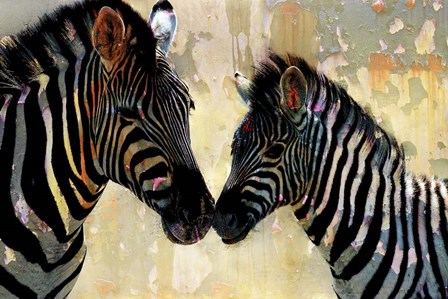 Zebra Love by Kimberly Allen art print
