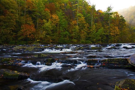 Autumn on the Tellico River by Andy Crawford Photography art print