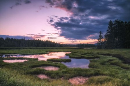 Sunset at Bass Harbor Marsh by Andy Crawford Photography art print