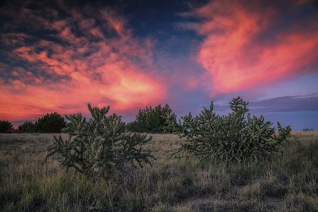 Comanche Sunrise by Andy Crawford Photography art print