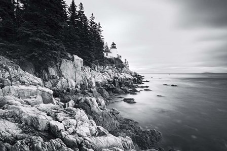 Bass Harbor Head Light by Andy Crawford Photography art print
