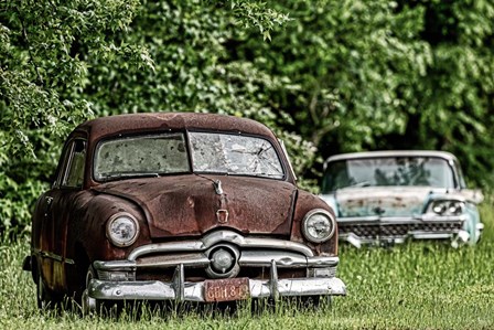 1950s Ford Cars by Andy Crawford Photography art print