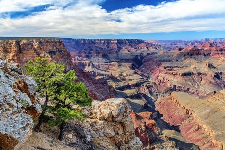 Standing on Navajo Point-Grand Canyon National Park by Andy Crawford Photography art print