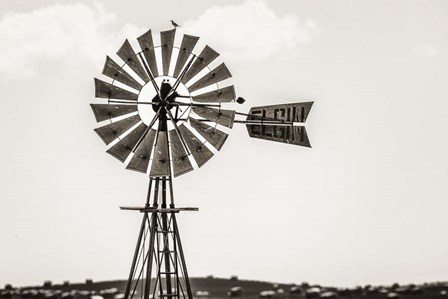 Bird on a Windmill by Andy Crawford Photography art print