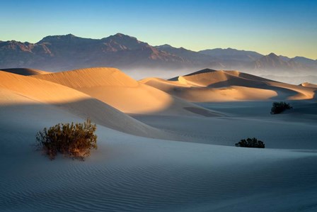 Mesquite Dunes by Rick Berk art print