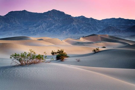 Dawn in the Dunes by Rick Berk art print