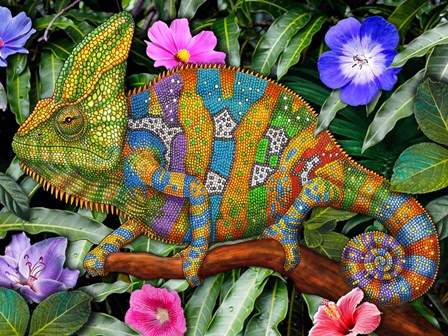 Veiled Chameleon Rainbow by Tim Jeffs art print