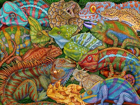 Reptiles by Tim Jeffs art print