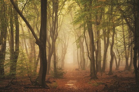 Path of Peace by Martin Podt art print