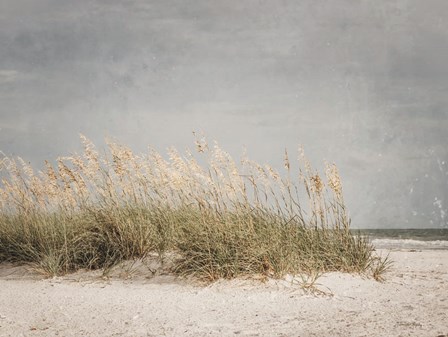 Vintage Beach Grass I by Jennifer Rigsby art print