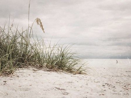 Vintage Beach Grass II by Jennifer Rigsby art print