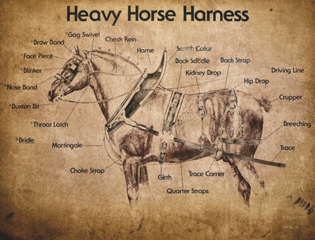 Heavy Horse Harness by Stellar Design Studio art print