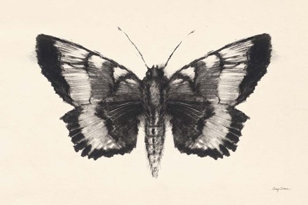 Moth V by Avery Tillmon art print