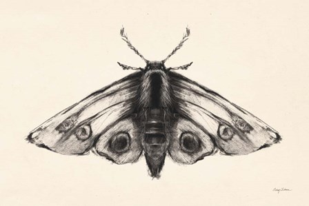 Moth II by Avery Tillmon art print