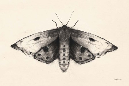 Moth I by Avery Tillmon art print