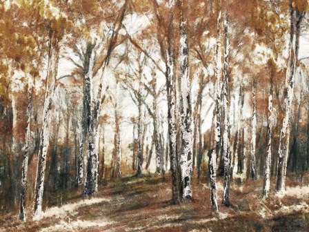 Rusted Hearth Birch Trees by Nina Blue art print