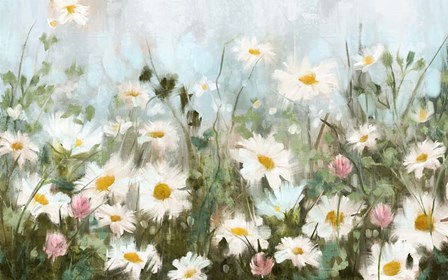 Field of Daisies by Nina Blue art print