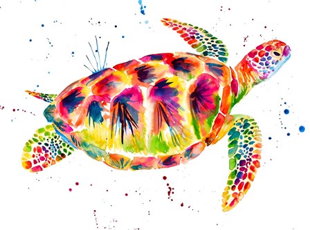 Sea Turtle by Jenn Seeley art print