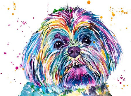 Casper the Shih Tzu by Jenn Seeley art print