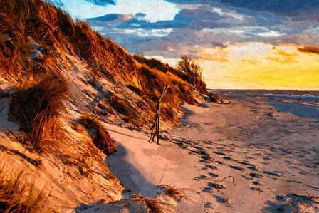 Sunset on the Dunes by Denise Dundon art print