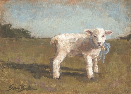 Little Lamb III by Sara Baker art print