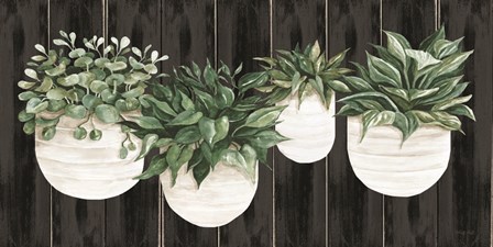 Potted Plants on Barnwood by Cindy Jacobs art print