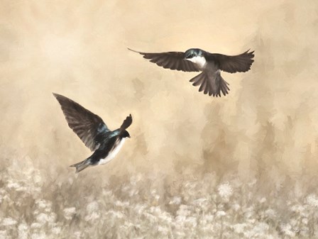 Dance of the Swallows by Lori Deiter art print