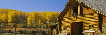 Cowboy sitting on a window of a log cabin, Colorado by Panoramic Images art print