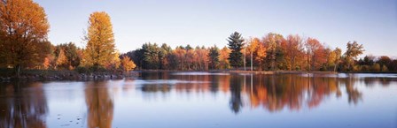 Trees in autumn along a lake, Canterbury by Panoramic Images art print
