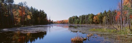 Autumn trees along a lake, Catskill Mountains by Panoramic Images art print
