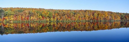 Trees along a lake, Lake Hamilton, Massachusetts by Panoramic Images art print